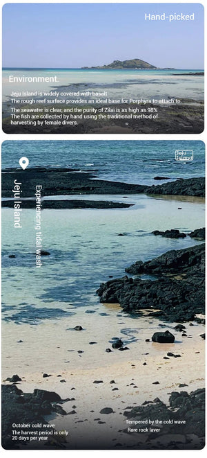 OSTTE Butter Garlic Seaweed – Healthy Guilt - Free Korean Snack - HDBK Official