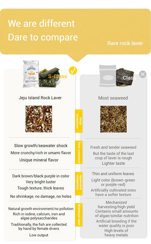 OSTTE Butter Garlic Seaweed – Healthy Guilt - Free Korean Snack - HDBK Official