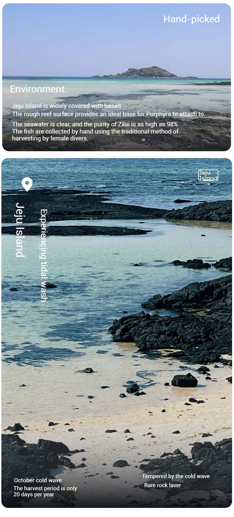 OSTTE Butter Garlic Seaweed – Healthy Guilt - Free Korean Snack - HDBK Official